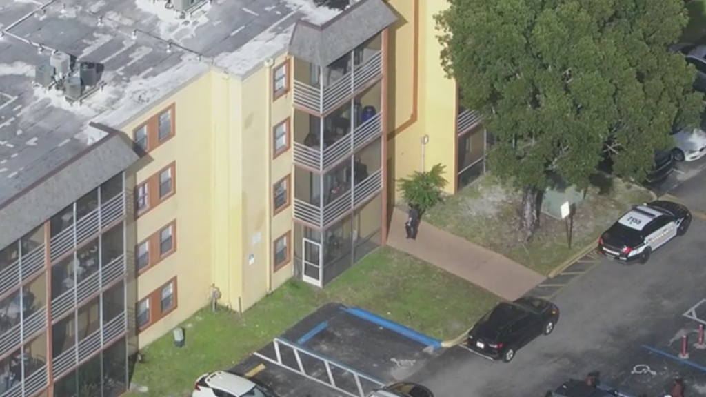 10-year-old girl hospitalized after 8-year-old brother throws knife and hits chest, Lauderhill police say — CBS Miami, Pinecrest Health news