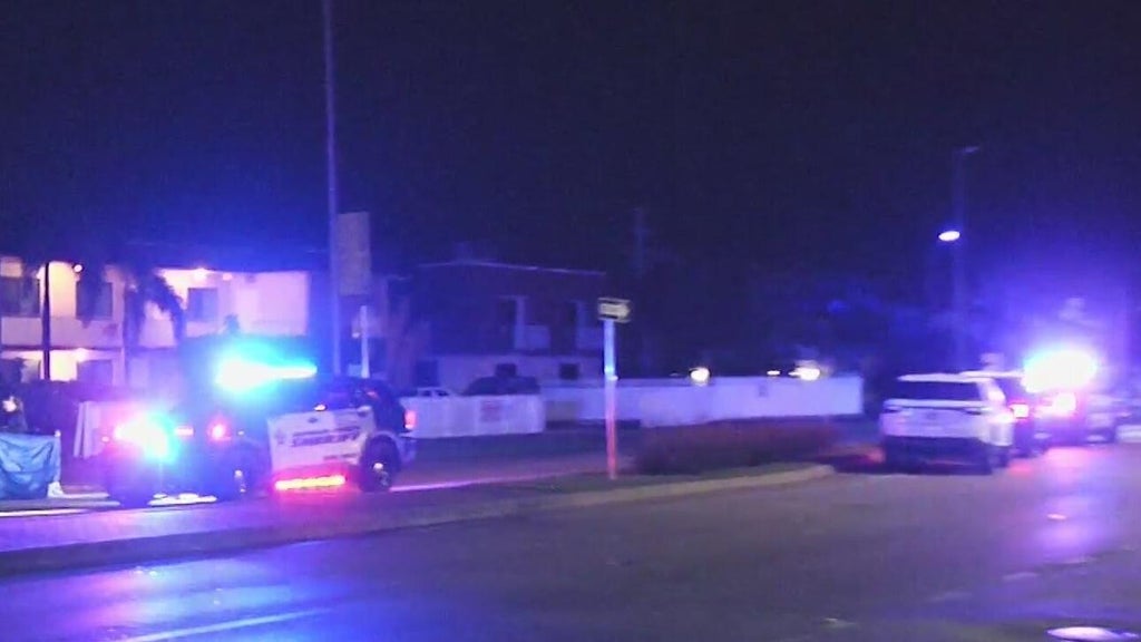 Woman accused of killing man in Dania Beach hit-and-run, BSO says — CBS Miami, Pinecrest Community news