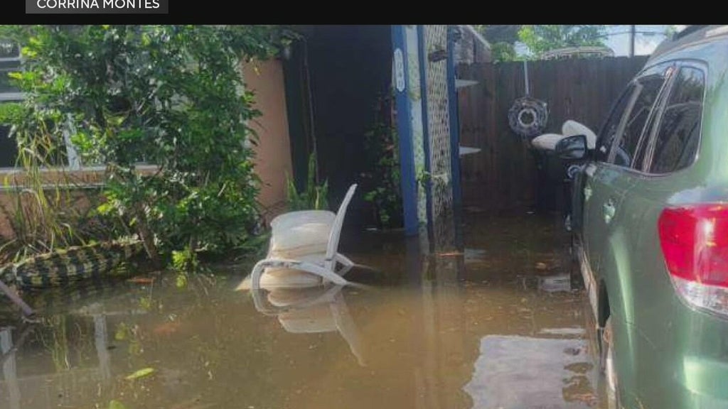 Residents say fear of inspections, paperwork keep many from applying for flood recovery grants — CBS Miami, Pinecrest Community news
