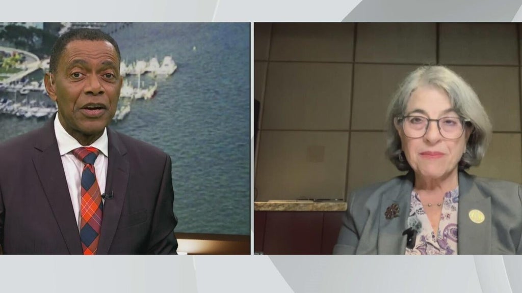 Miami-Dade mayor Daniella Levine Cava speaks on Amendment 3 opposition and county budget woes — CBS Miami, Pinecrest Government news