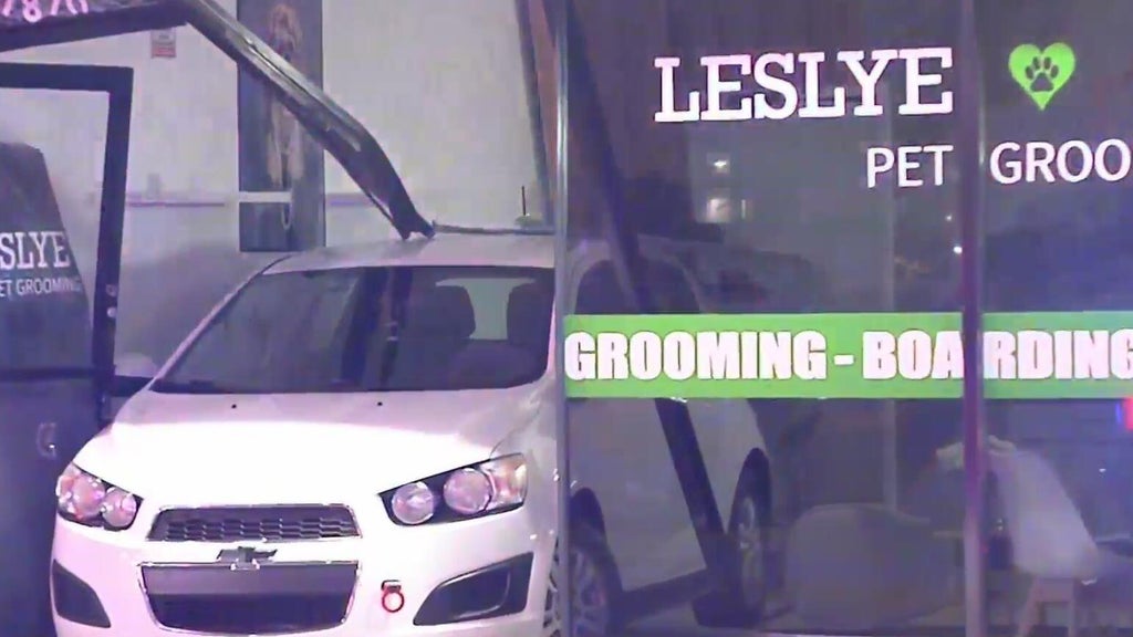 Car crashes into Doral pet grooming shop; no one hurt — CBS Miami, Pinecrest Business news
