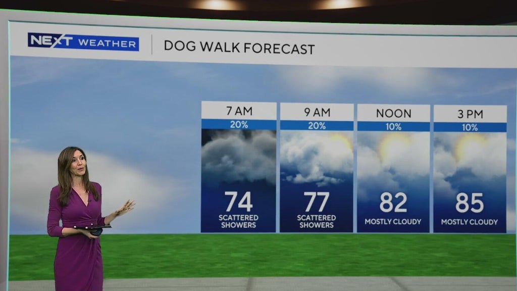 South Florida sees some showers Tuesday, but rain chances rise by end of week — CBS Miami, Pinecrest Community news