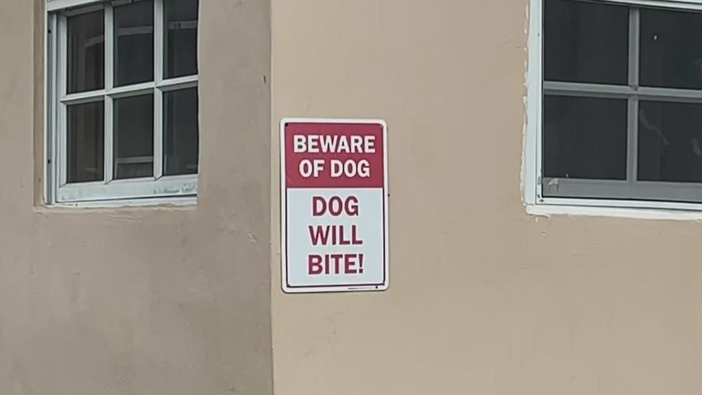 Dog who bit girl in northwest Miami-Dade taken into Animal Services custody — CBS Miami, Pinecrest Community news