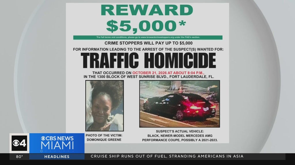 Family of Fort Lauderdale mom killed in hit-and-run pleads for help finding driver — Pinecrest Community news