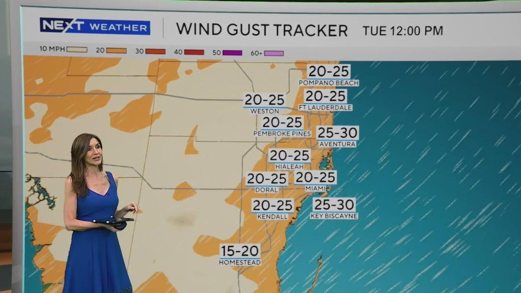 Windy, drier week ahead of taste of fall South Florida style — CBS Miami, Pinecrest Community news