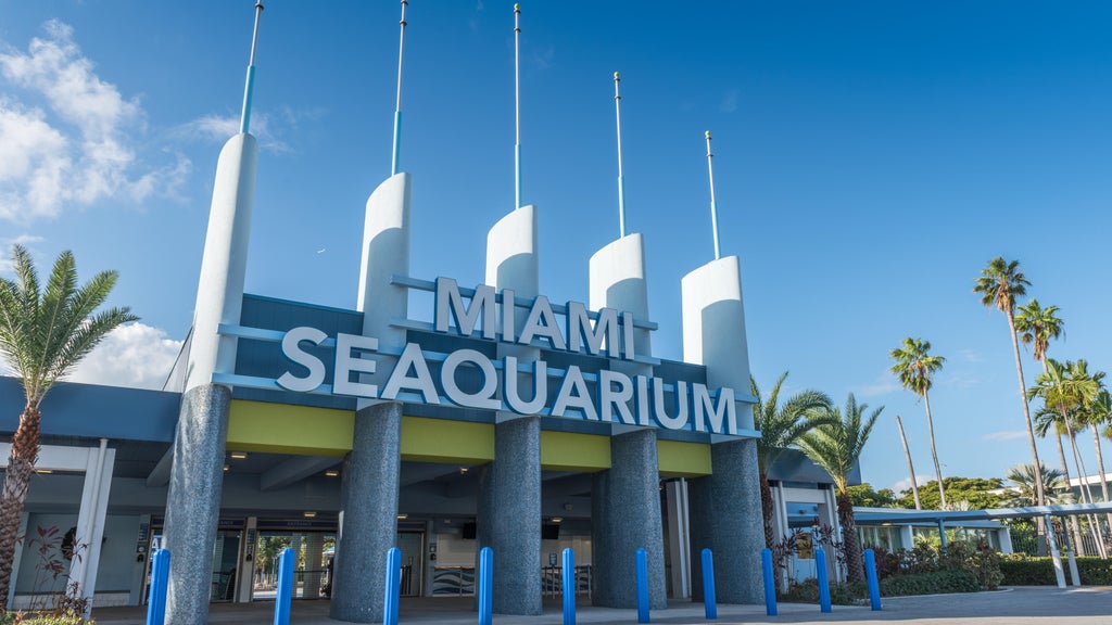 2 Miami-Dade residents sue to require countywide vote on Miami Seaquarium marina development plan — CBS Miami, Pinecrest Real Estate news