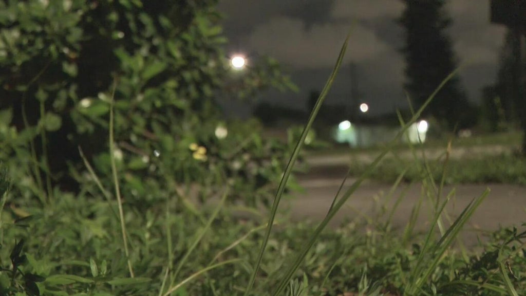 Broward mother says she went months without update after reporting man outside her window — CBS Miami, Pinecrest Real Estate news