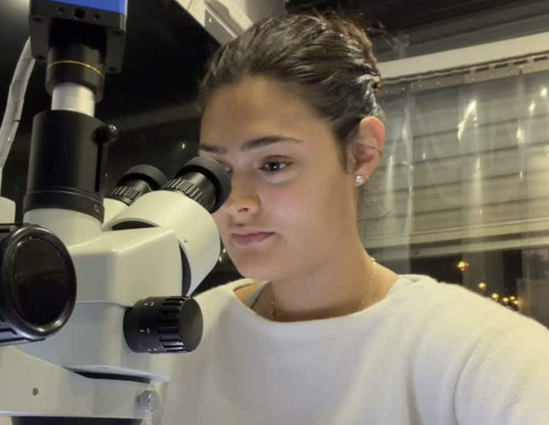 17-year-old Miami scientist grows tomatoes that taste like burgers — Miami New Times, Pinecrest Dining news